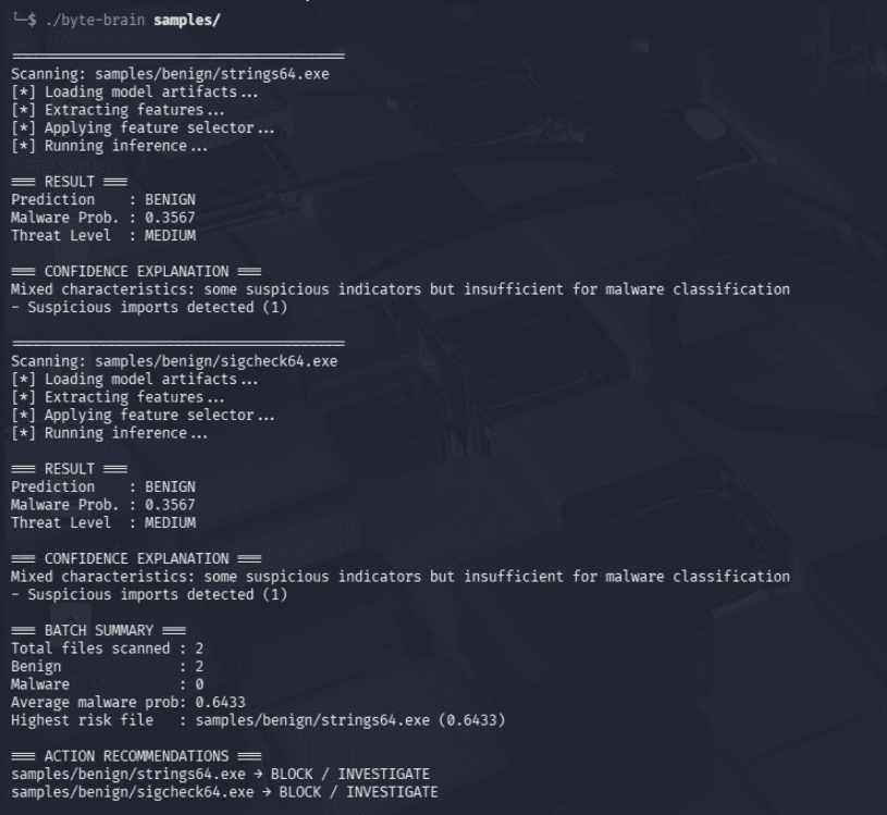 Terminal Output